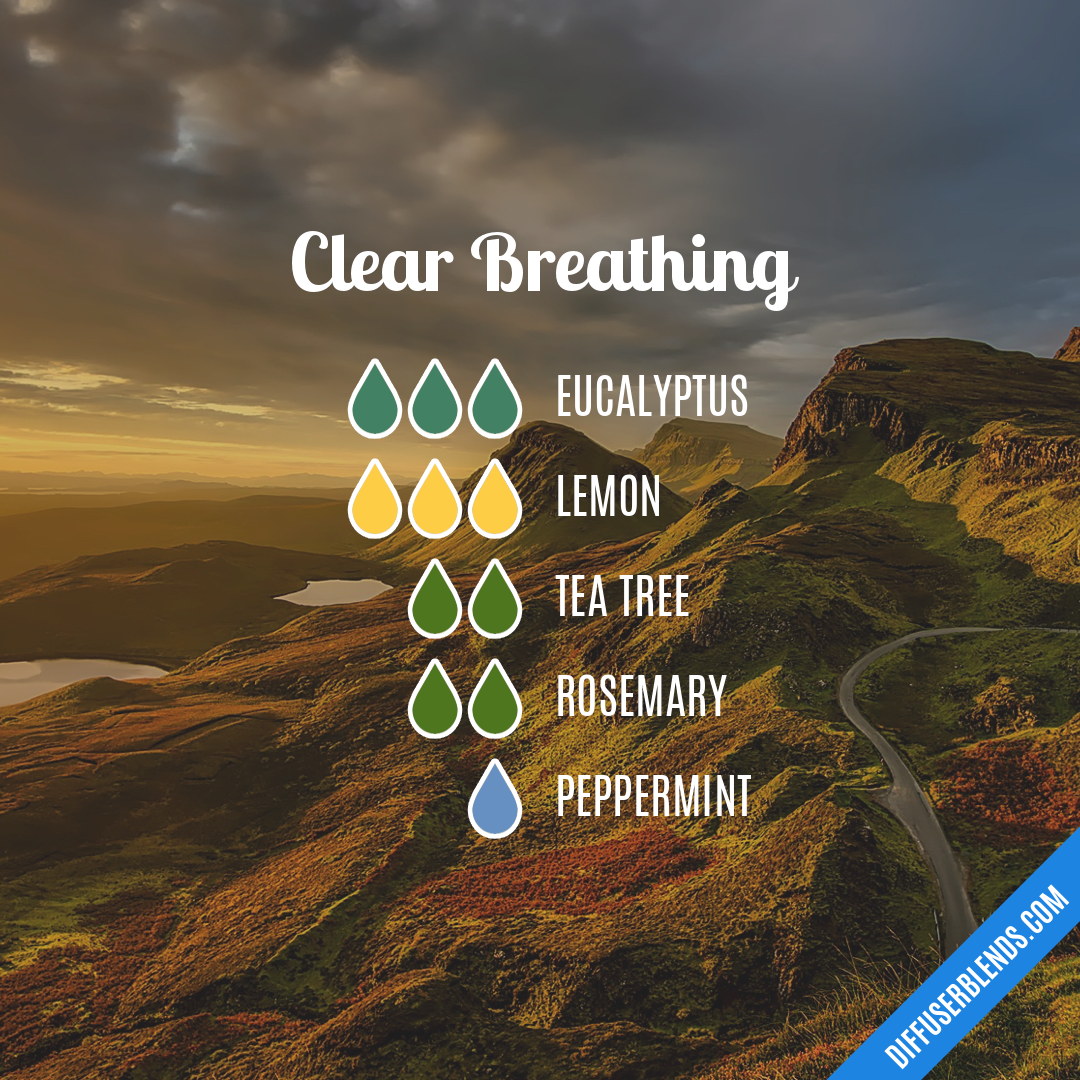 Clear Breathing | DiffuserBlends.com