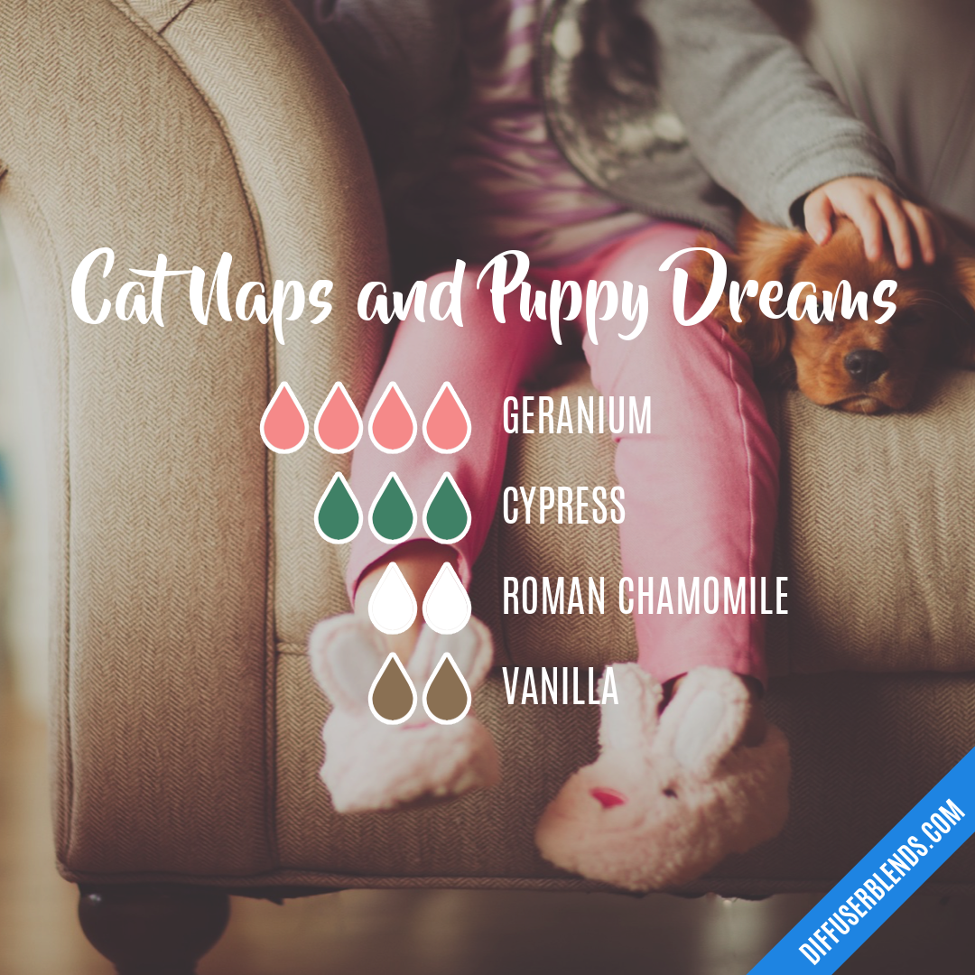 Cat Naps and Puppy Dreams — Essential Oil Diffuser Blend