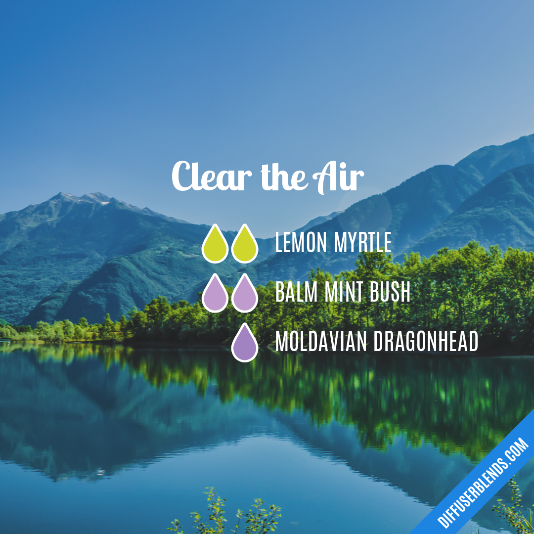 Clear the Air — Essential Oil Diffuser Blend