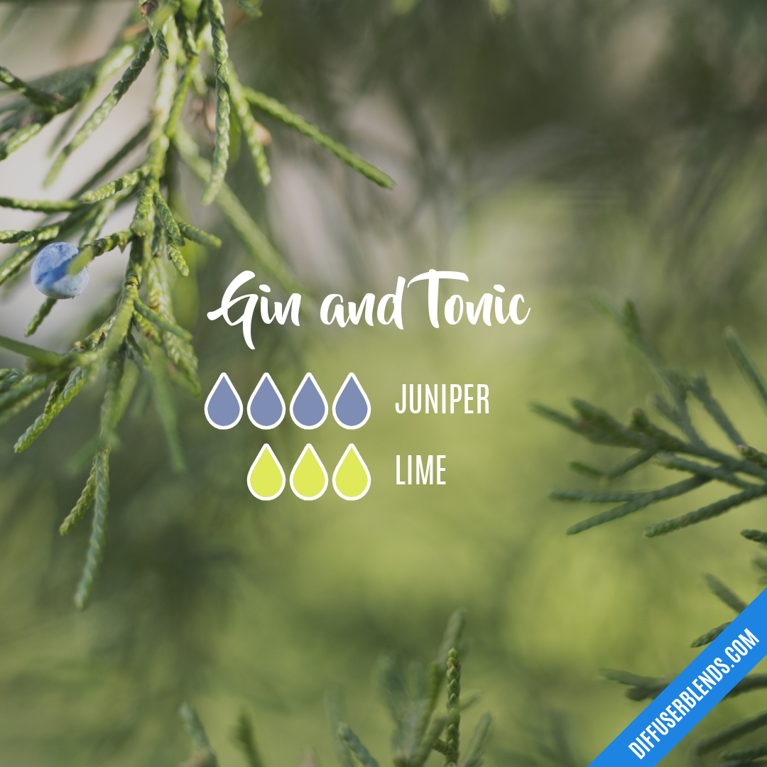 Gin and Tonic — Essential Oil Diffuser Blend