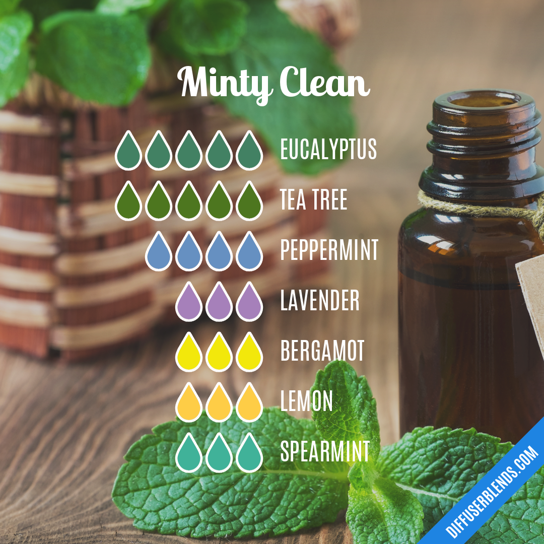 Minty Clean — Essential Oil Diffuser Blend