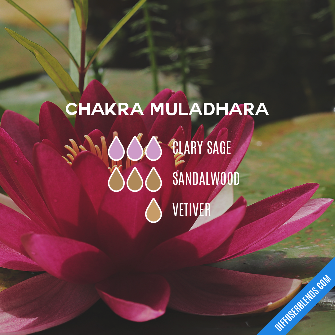 Chakra Muladhara — Essential Oil Diffuser Blend