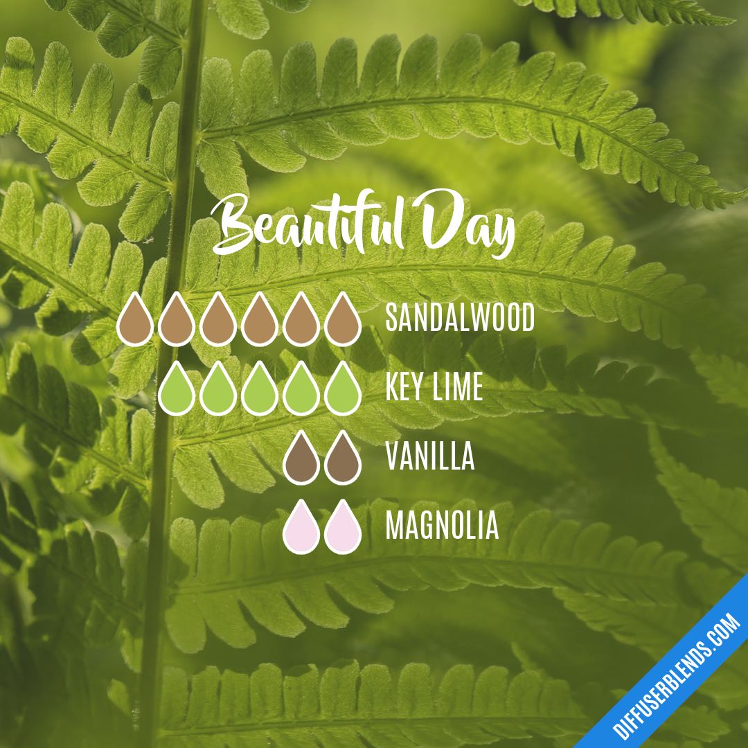 Beautiful Day — Essential Oil Diffuser Blend