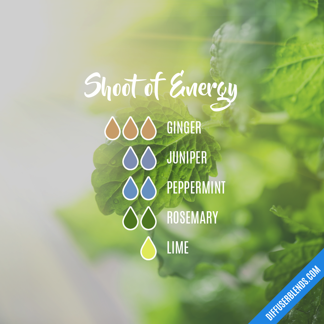 Shoot of Energy — Essential Oil Diffuser Blend