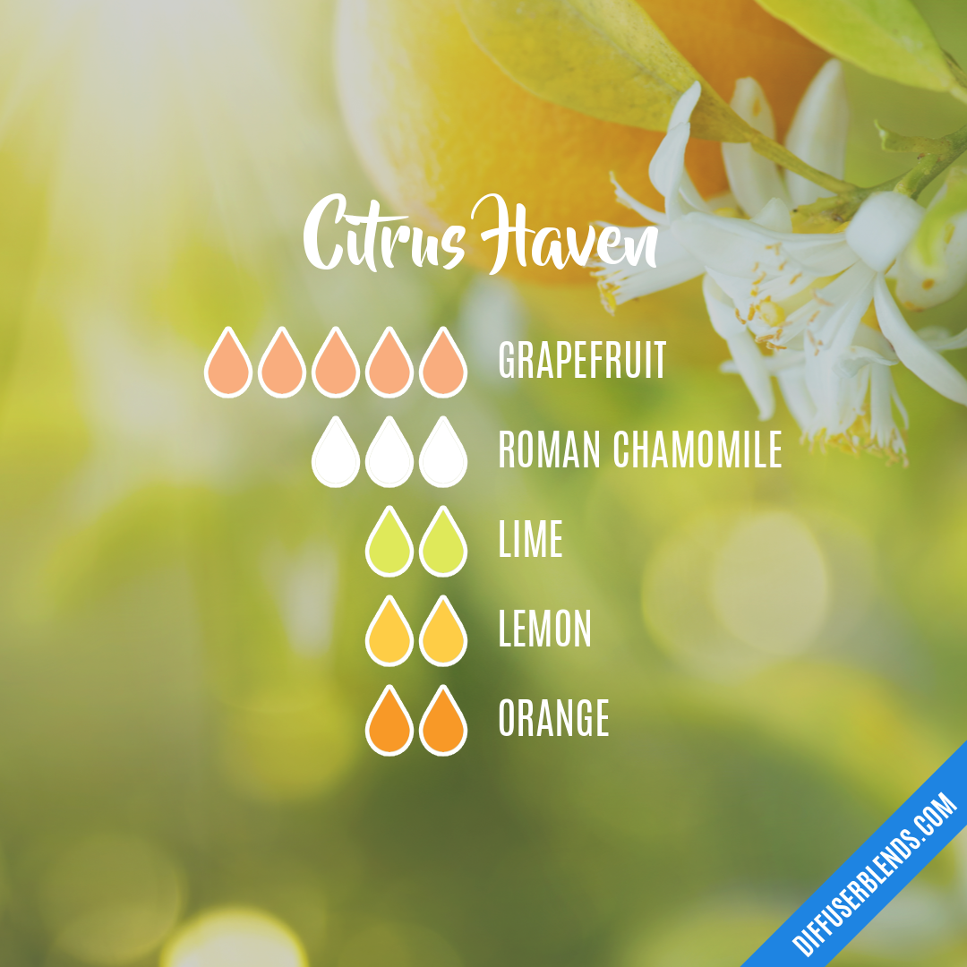Citrus Haven | DiffuserBlends.com