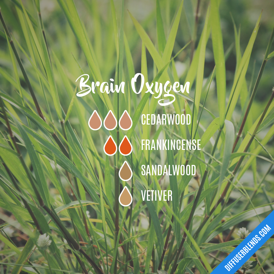 Brain Oxygen — Essential Oil Diffuser Blend