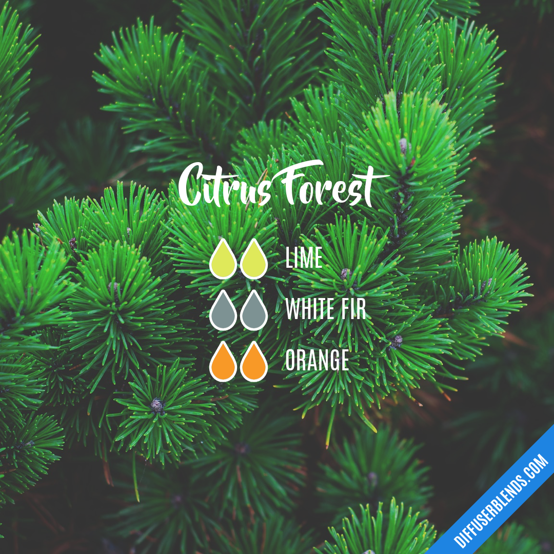 Citrus Forest — Essential Oil Diffuser Blend