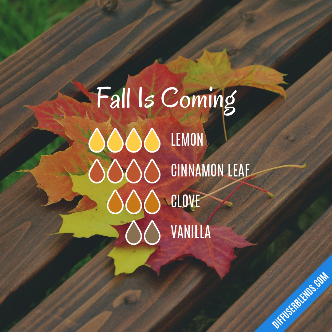 Fall Is Coming — Essential Oil Diffuser Blend