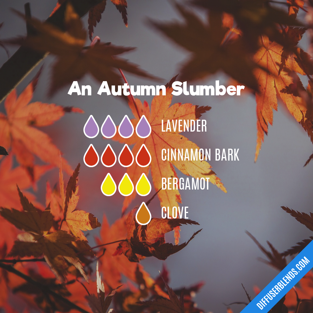 An Autumn Slumber — Essential Oil Diffuser Blend