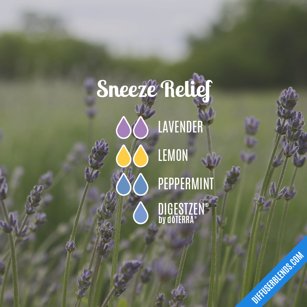 Sneeze Relief — Essential Oil Diffuser Blend