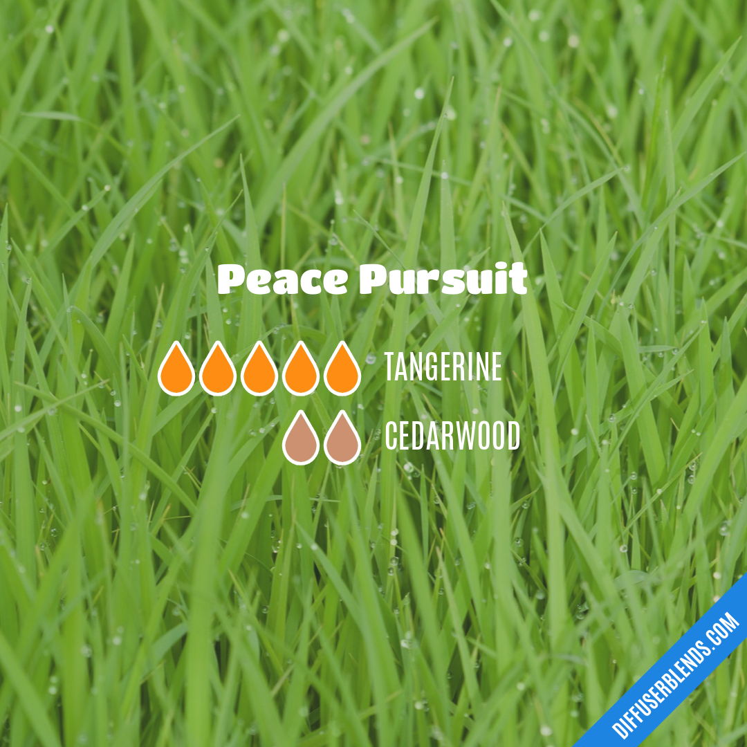 Peace Pursuit — Essential Oil Diffuser Blend