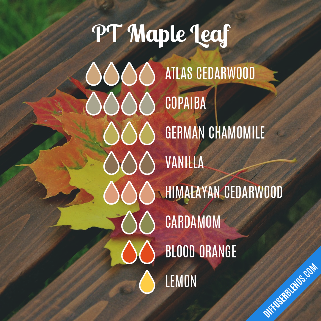 PT Maple Leaf — Essential Oil Diffuser Blend