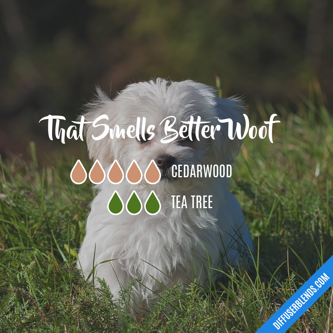 That Smells Better Woof — Essential Oil Diffuser Blend