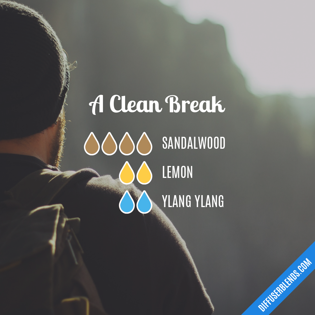 A Clean Break — Essential Oil Diffuser Blend