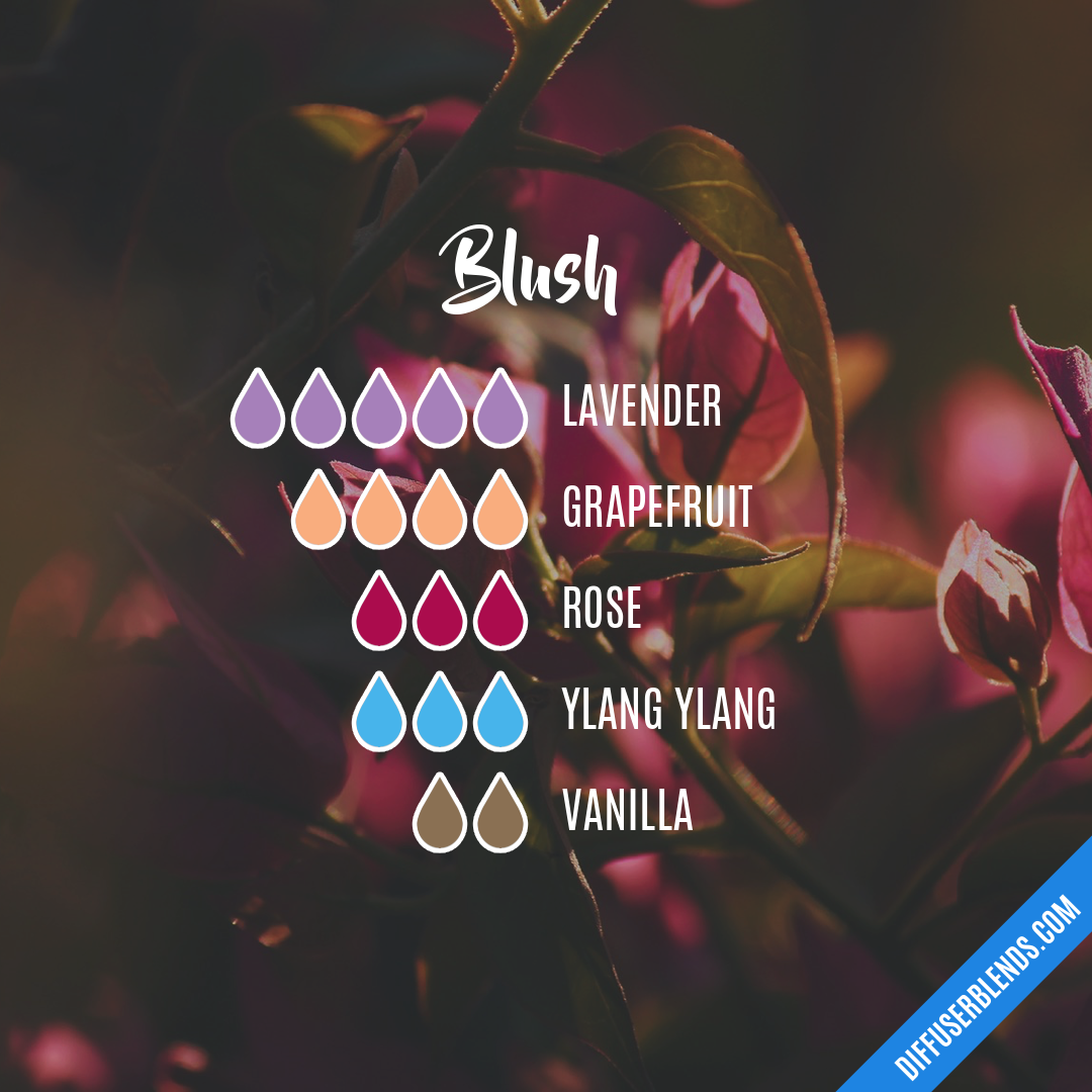 Blush | DiffuserBlends.com