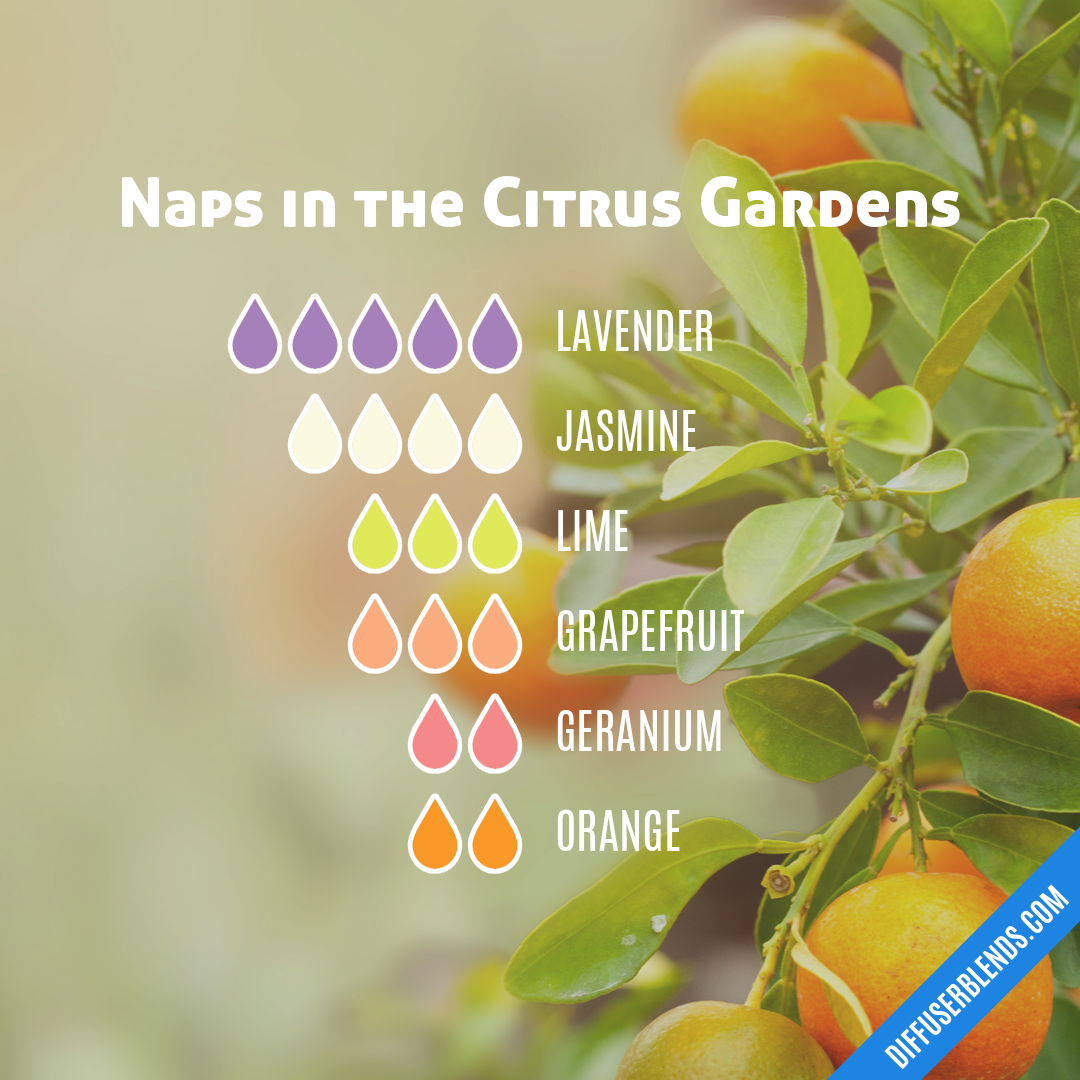 Naps in the Citrus Gardens | DiffuserBlends.com