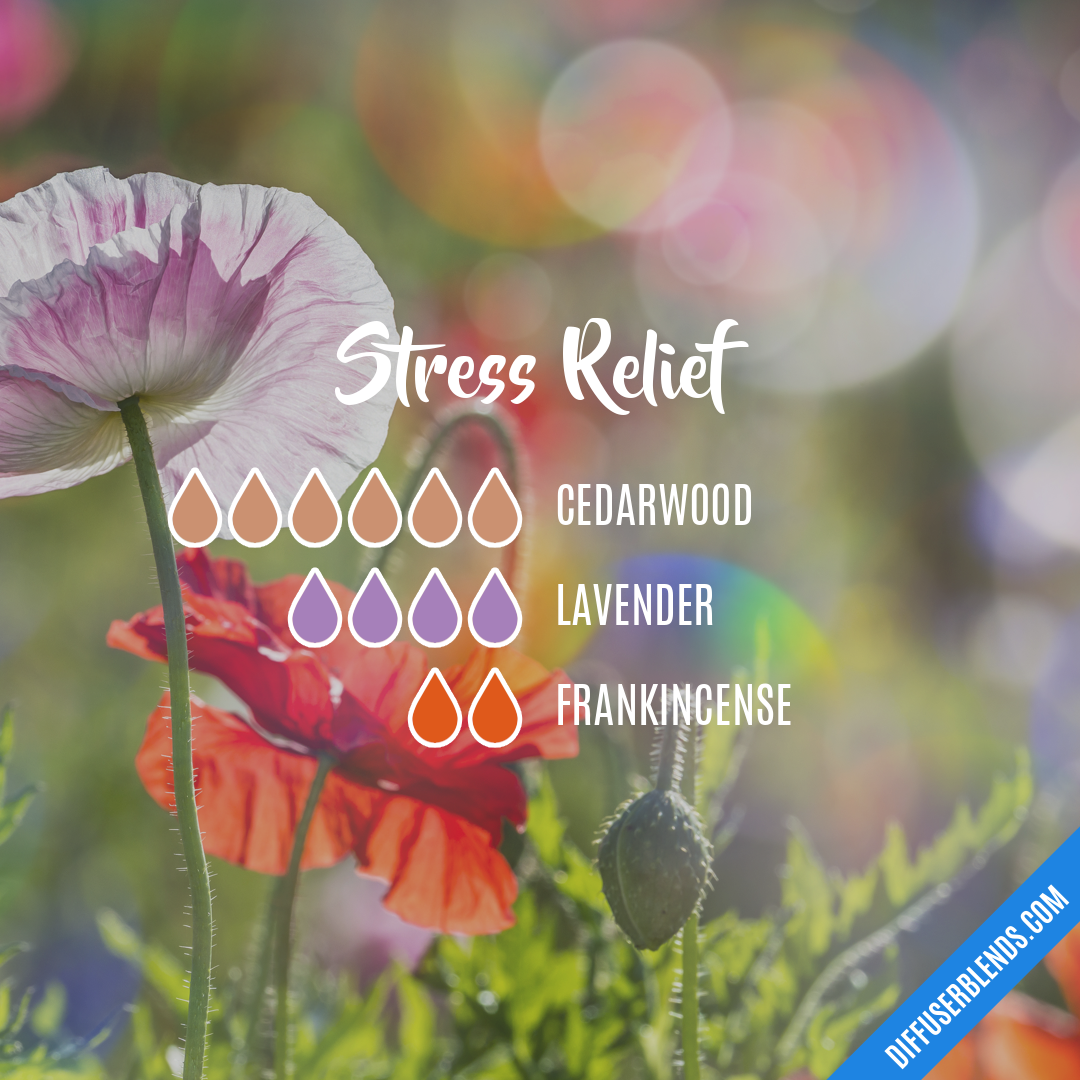 Stress Relief — Essential Oil Diffuser Blend