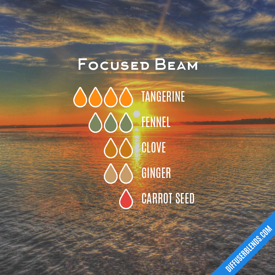 Focused Beam — Essential Oil Diffuser Blend