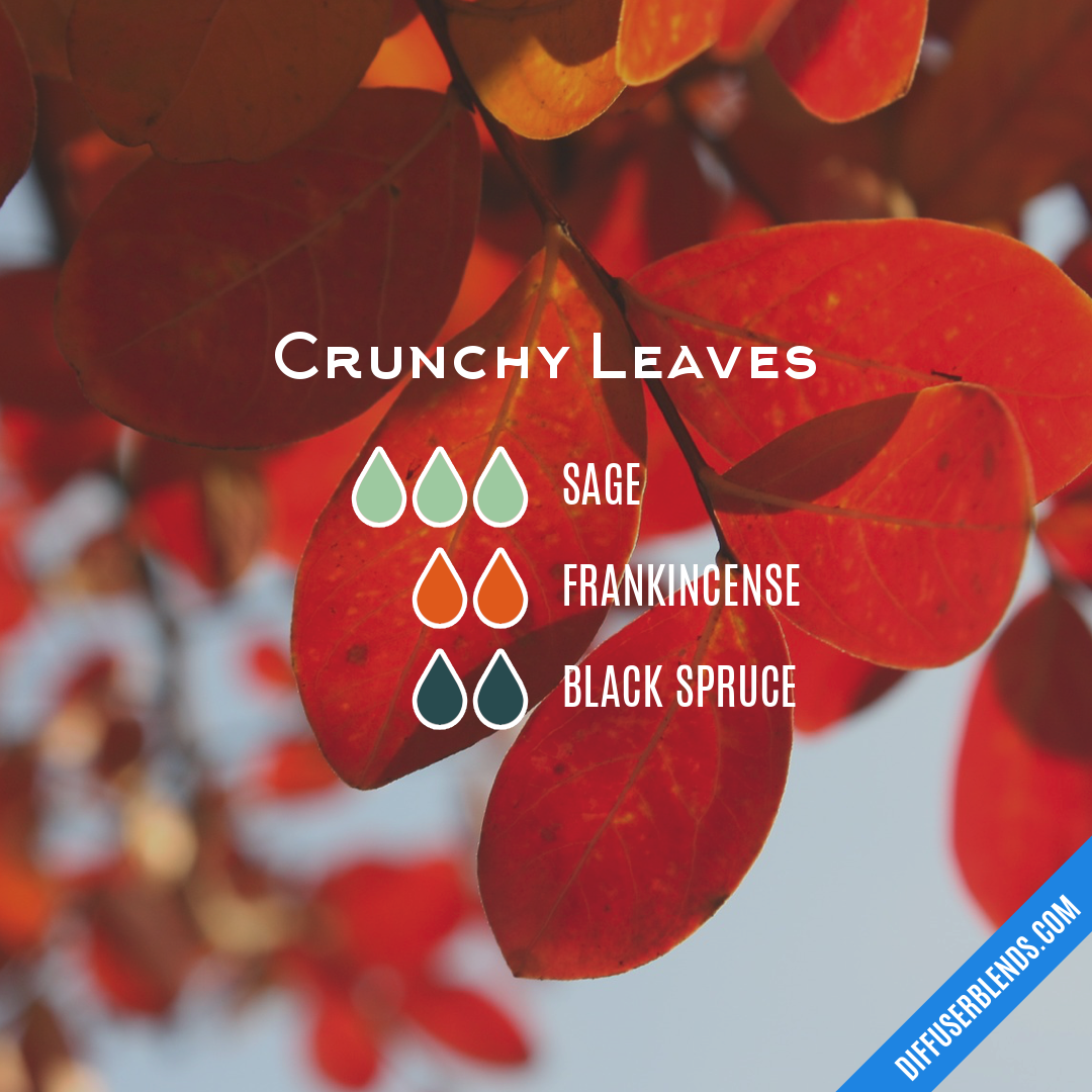 Crunchy Leaves — Essential Oil Diffuser Blend