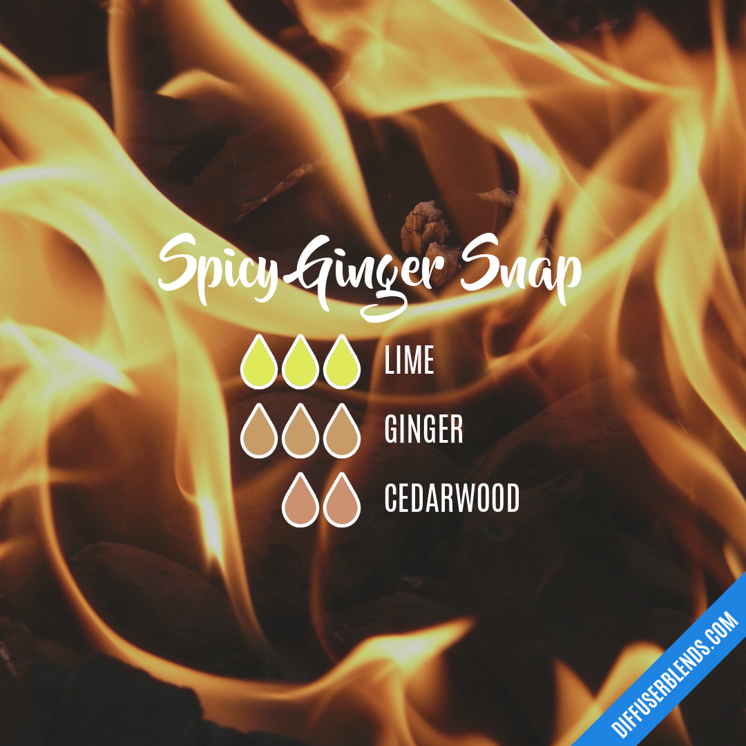 Spicy Ginger Snap — Essential Oil Diffuser Blend