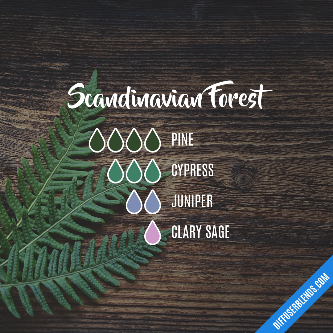 Scandinavian Forest — Essential Oil Diffuser Blend