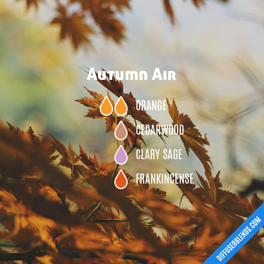 Autumn Air — Essential Oil Diffuser Blend