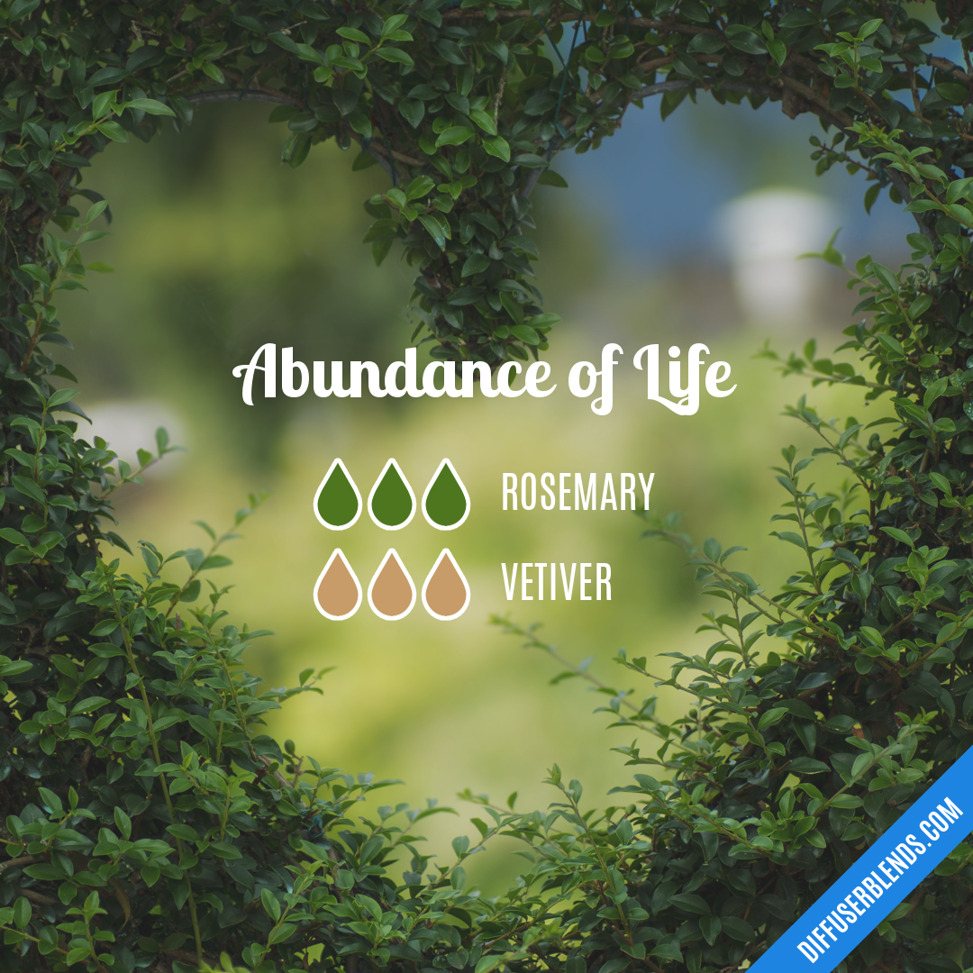 Abundance of Life — Essential Oil Diffuser Blend