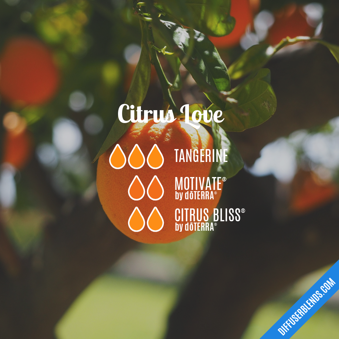 Citrus Love — Essential Oil Diffuser Blend