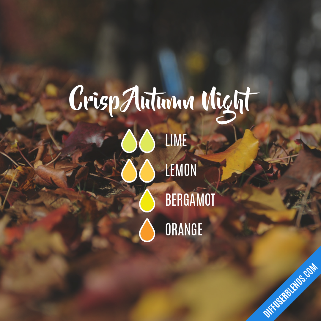 Crisp Autumn Night — Essential Oil Diffuser Blend