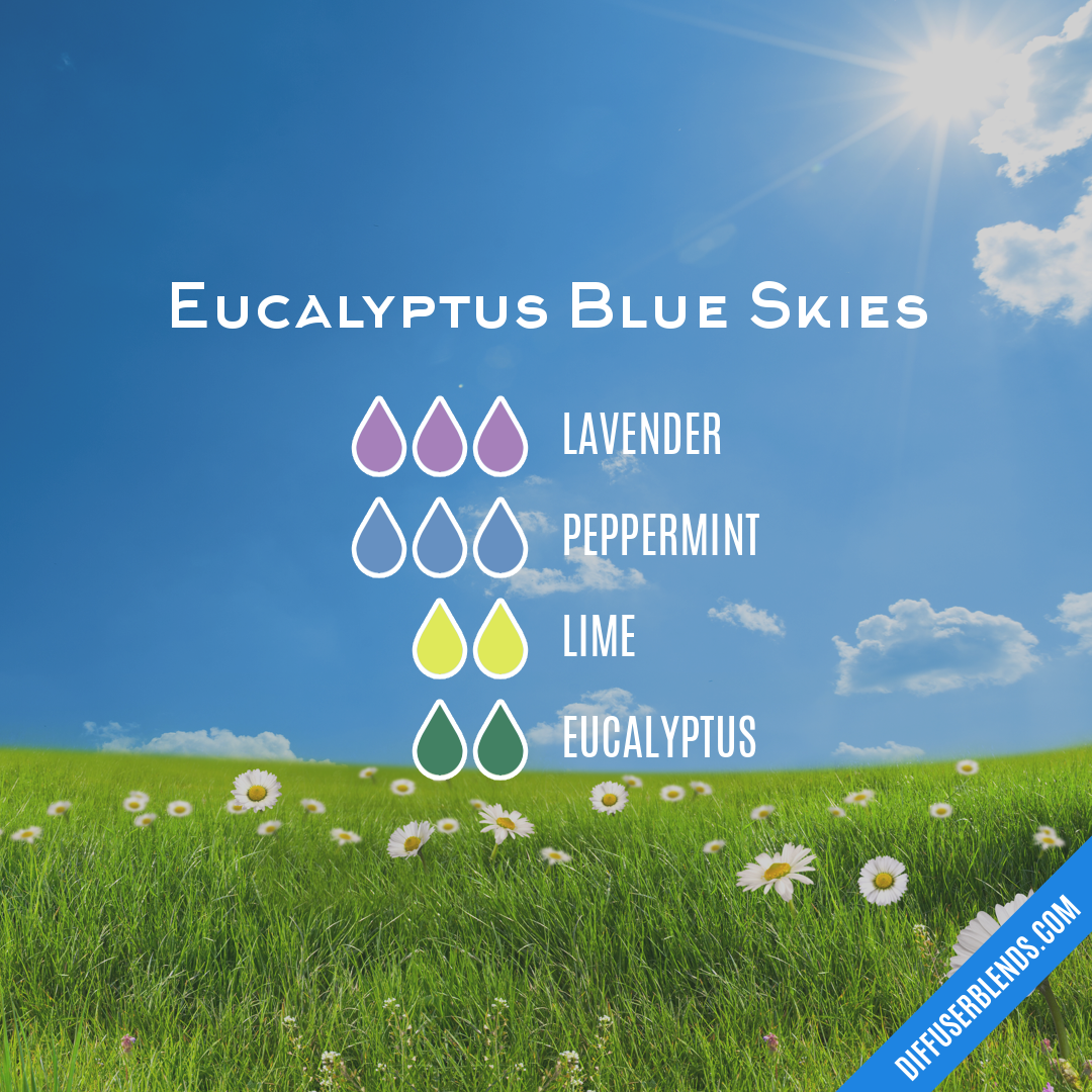 Eucalyptus Blue Skies — Essential Oil Diffuser Blend