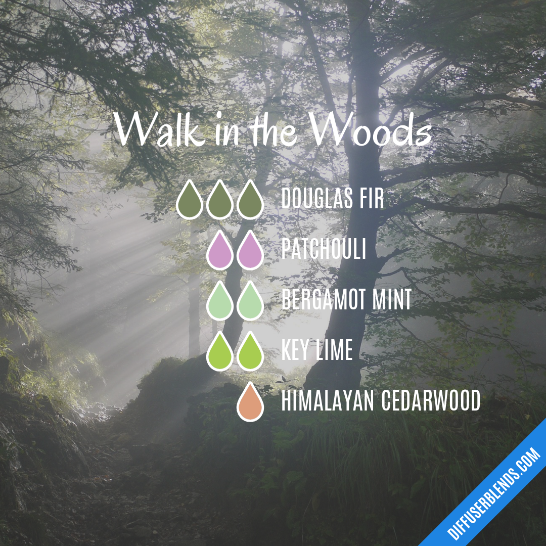 Walk in the Woods — Essential Oil Diffuser Blend