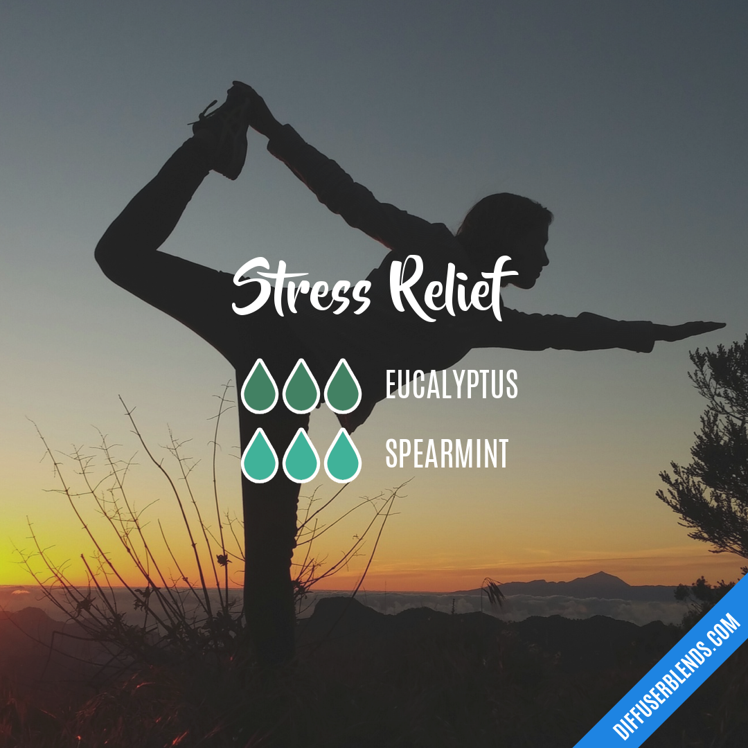 Stress Relief — Essential Oil Diffuser Blend