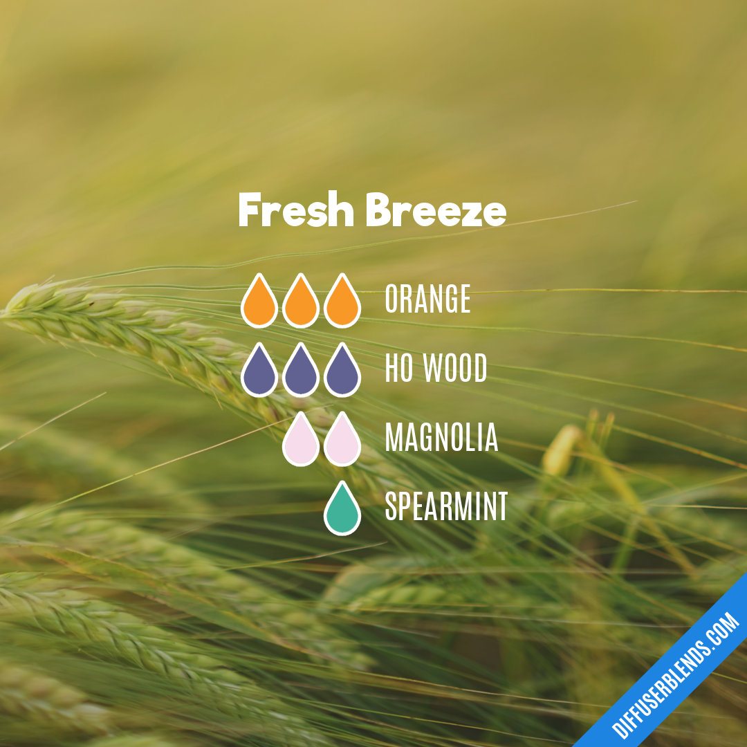 Fresh Breeze — Essential Oil Diffuser Blend