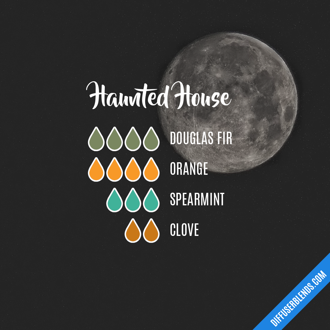 Haunted House — Essential Oil Diffuser Blend