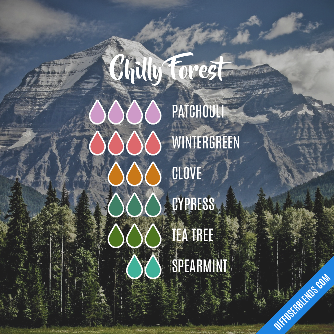 Chilly Forest — Essential Oil Diffuser Blend