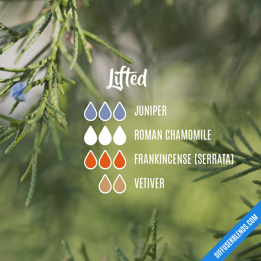 Lifted | DiffuserBlends.com