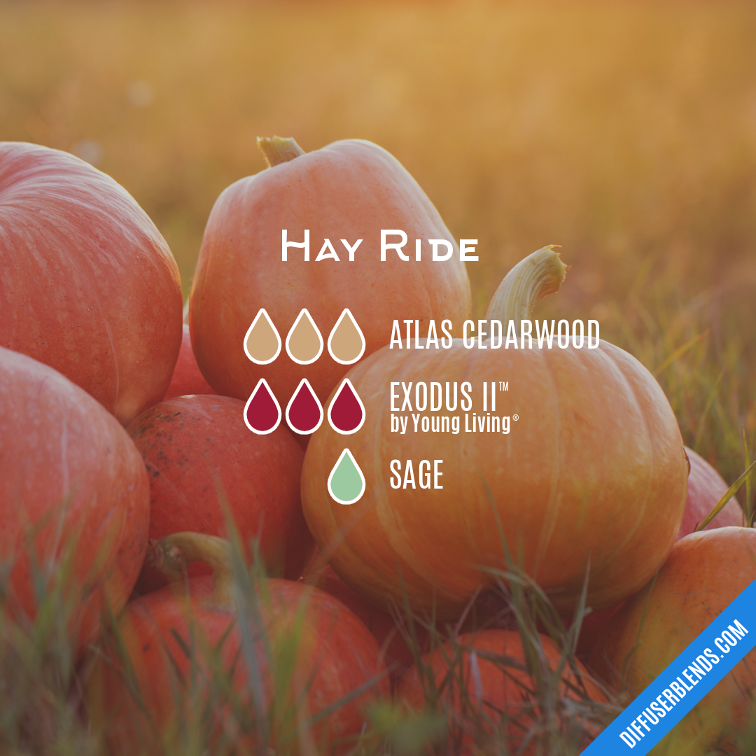 Hay Ride — Essential Oil Diffuser Blend