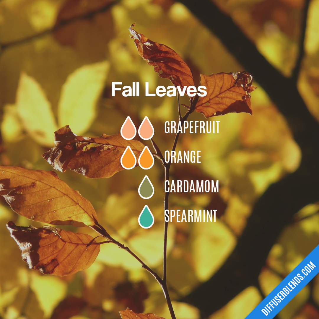 Fall Leaves | DiffuserBlends.com