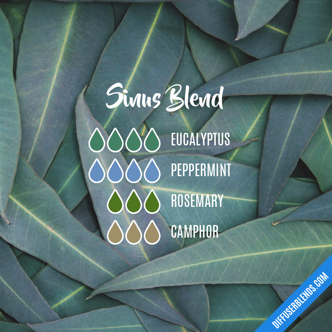 Sinus Blend — Essential Oil Diffuser Blend