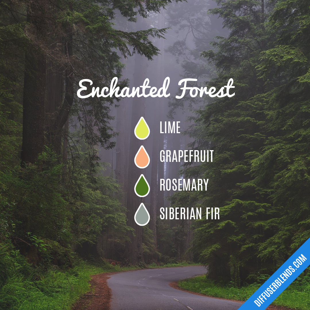 Enchanted Forest — Essential Oil Diffuser Blend