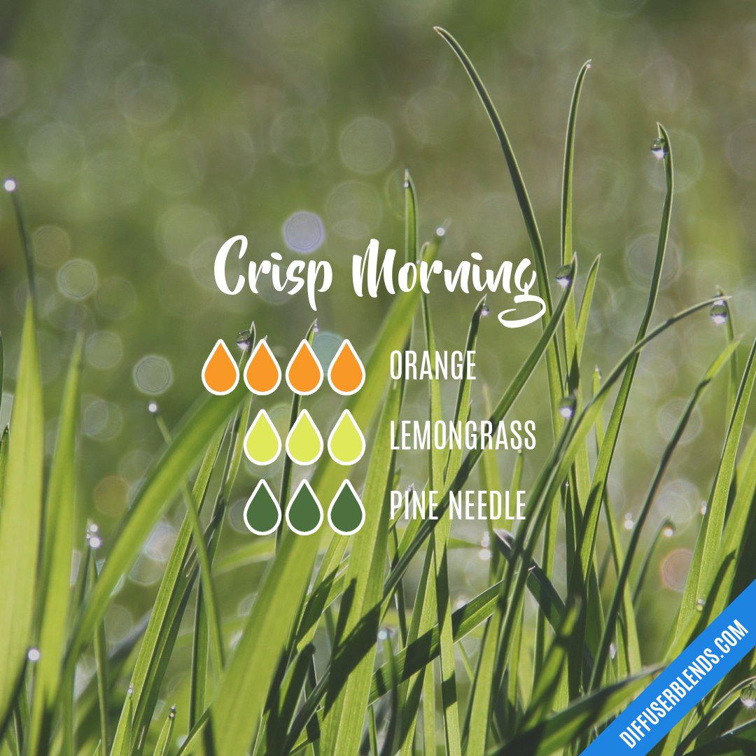 Crisp Morning — Essential Oil Diffuser Blend