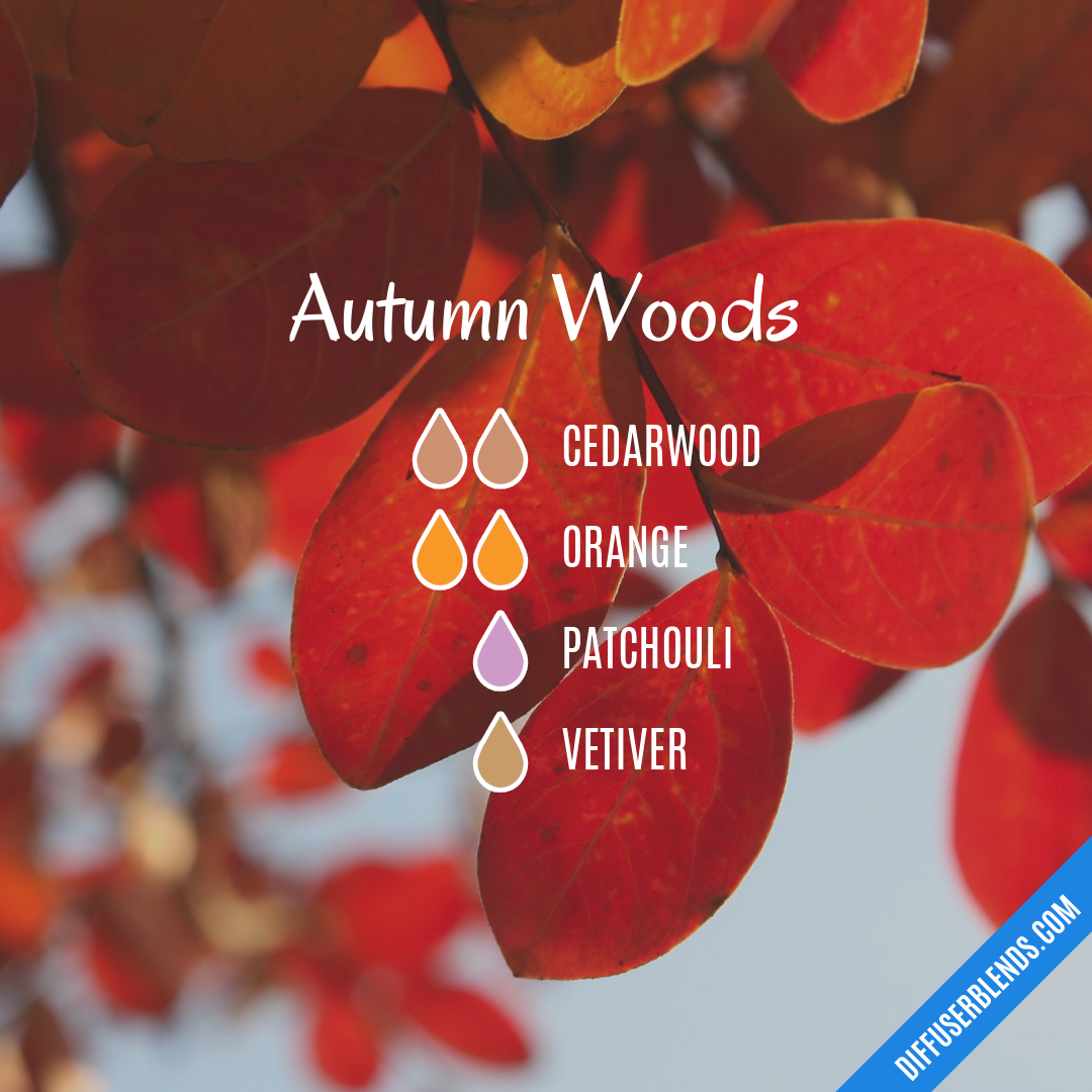 Autumn Woods — Essential Oil Diffuser Blend