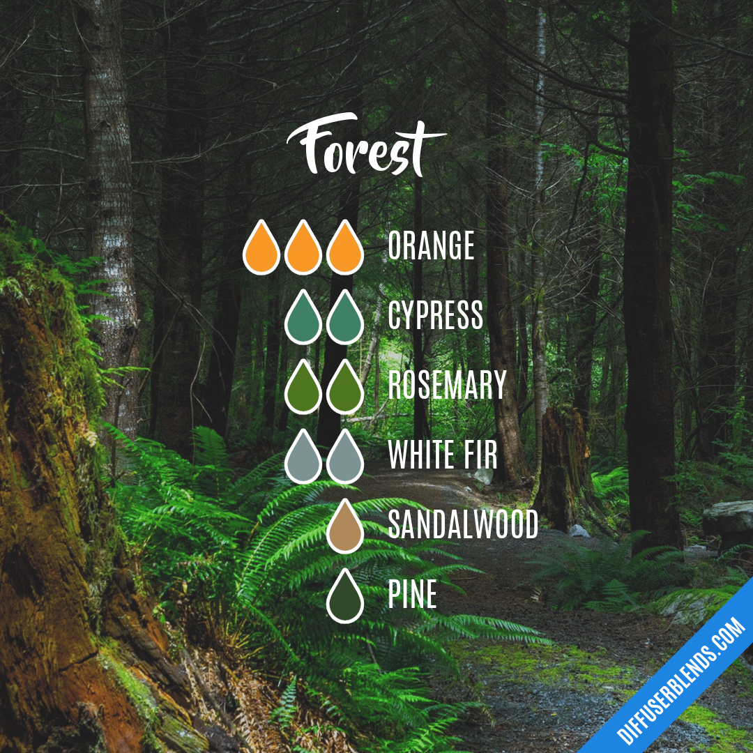 Forest — Essential Oil Diffuser Blend