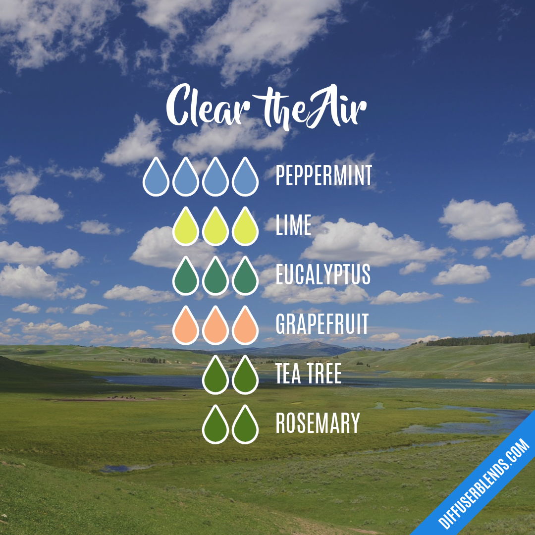 Clear the Air — Essential Oil Diffuser Blend