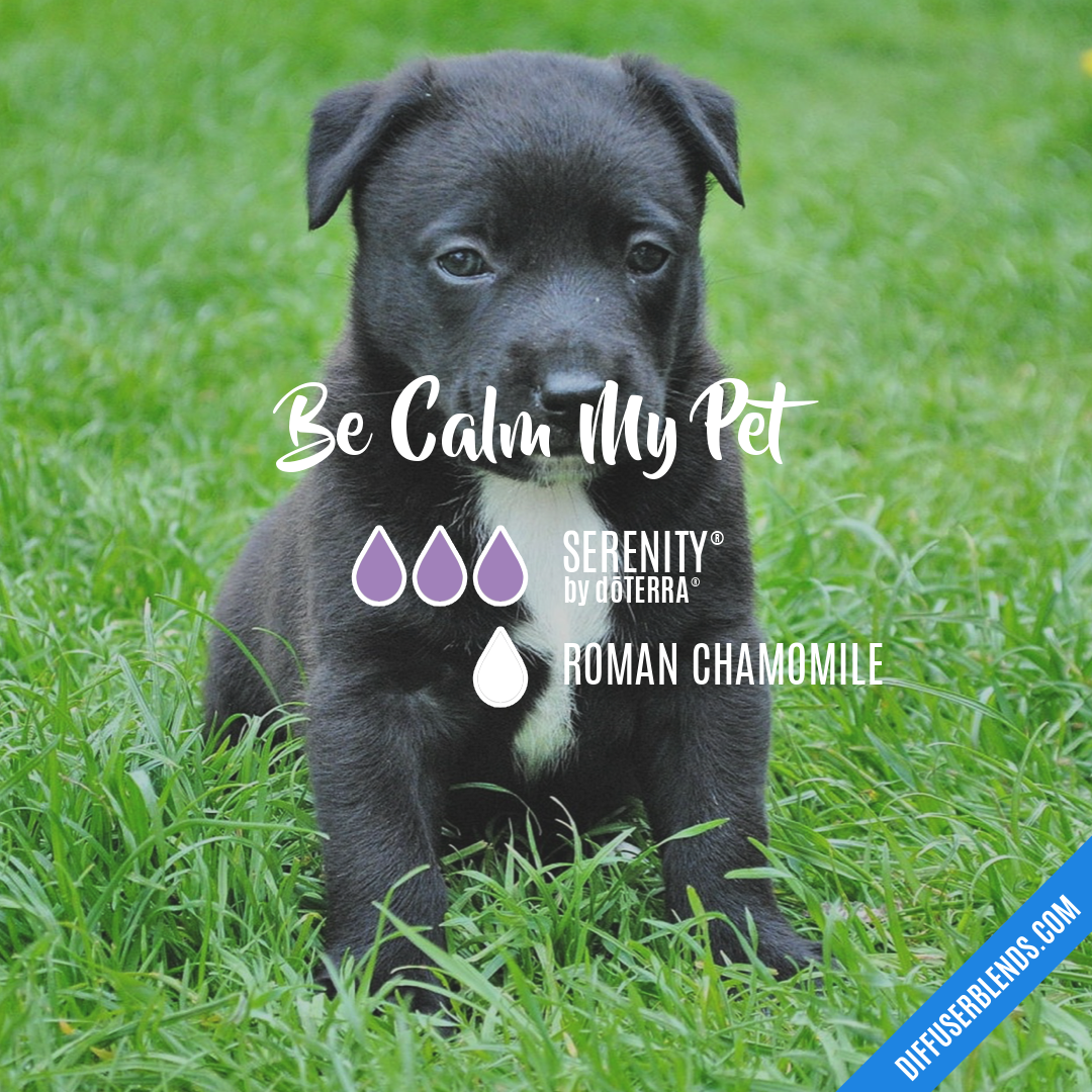 Be Calm My Pet — Essential Oil Diffuser Blend