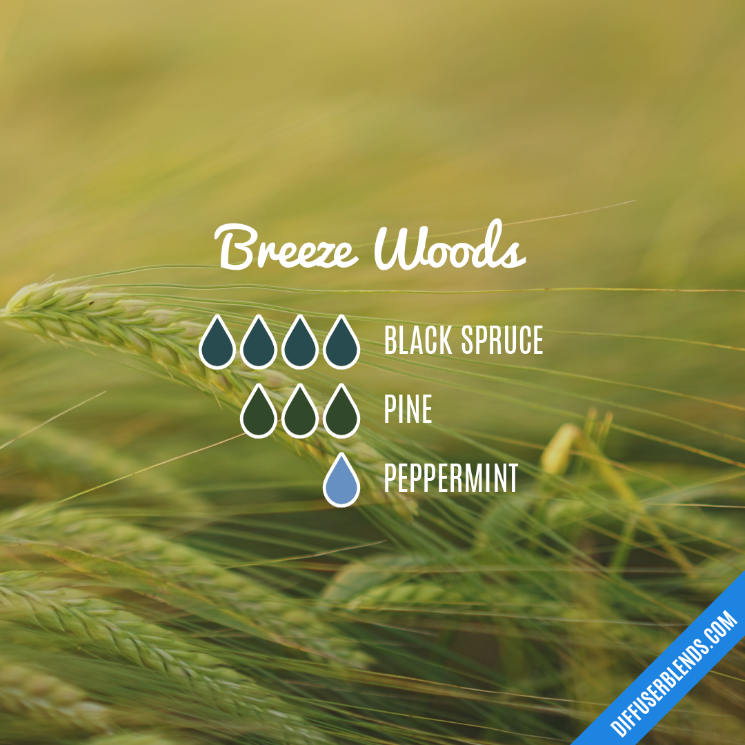 Breeze Woods — Essential Oil Diffuser Blend