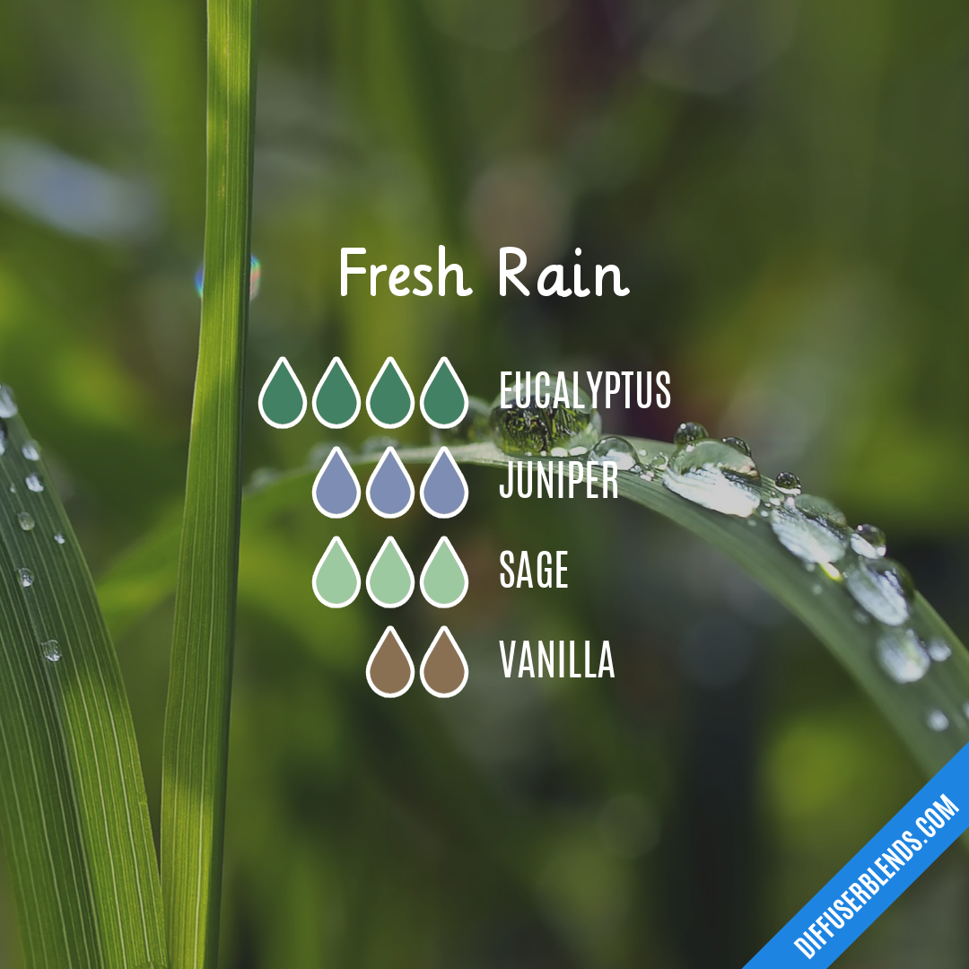 Fresh Rain — Essential Oil Diffuser Blend