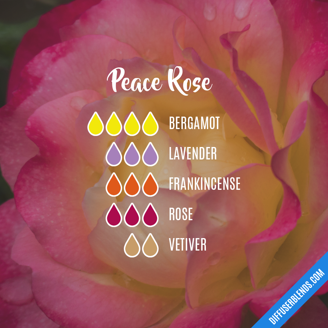 Peace Rose — Essential Oil Diffuser Blend