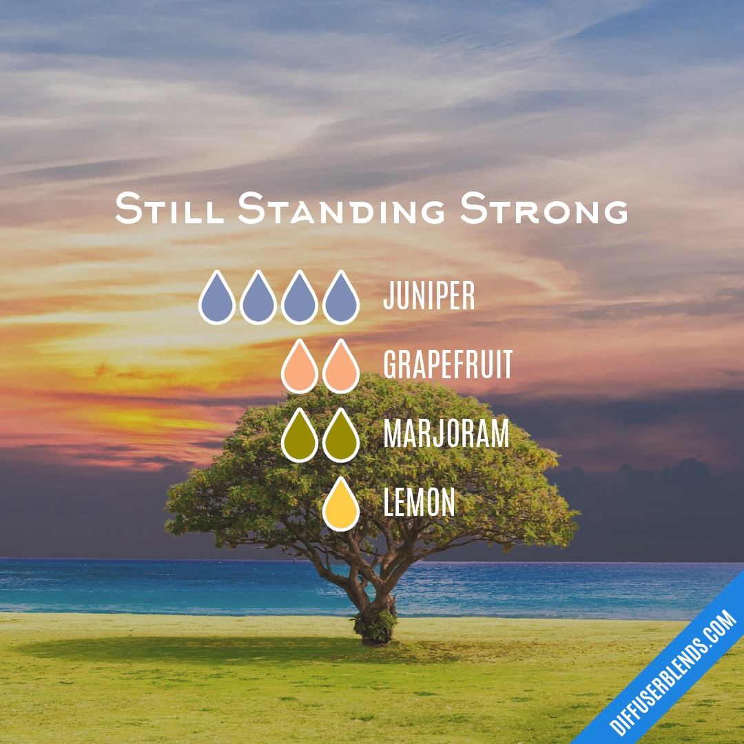 Still Standing Strong | DiffuserBlends.com