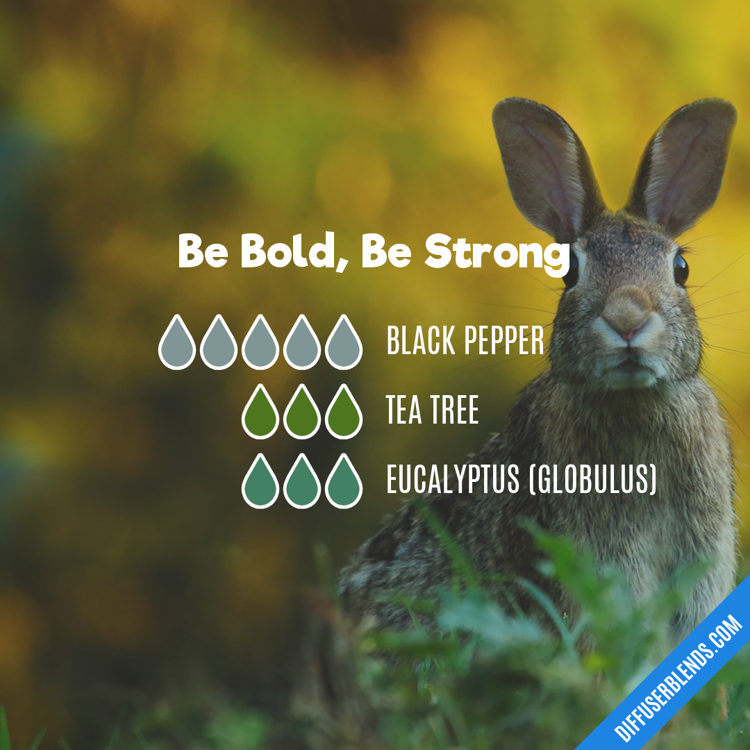 Be Bold, Be Strong — Essential Oil Diffuser Blend